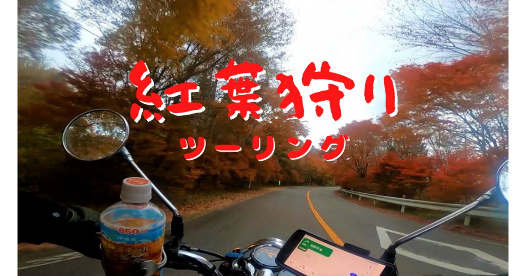 愛知県の茶臼山高原へ紅葉狩りツーリング、紅葉の中の高原道路やライトアップを満喫